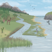 The Global Zoogeochemistry Network